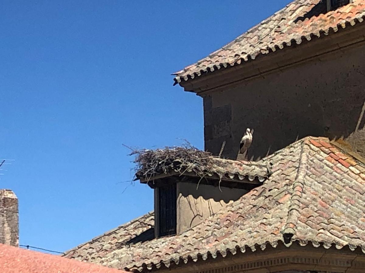 Museo Carmelitano * Alba De Tormes